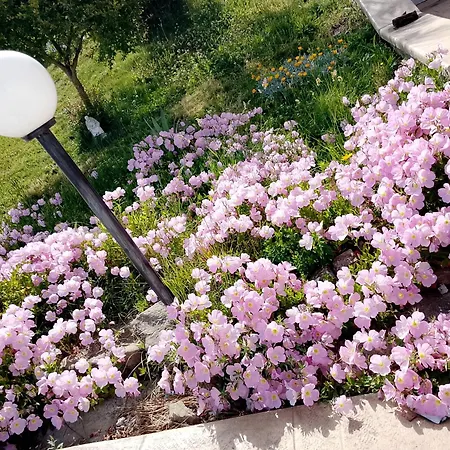 Stella Del Cilento Incanto Del Golfo לינה וארוחת בוקר